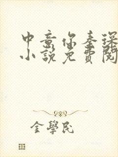 中意你秦琛苏沫小说免费阅读