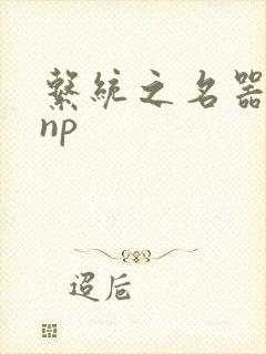 系统之名器攻略np