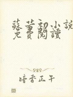 苏若初小说全文免费阅读