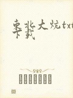 东北大炕txt下载