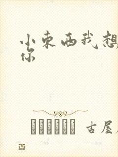 小东西我想弄坏你