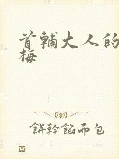 首辅大人的小青梅