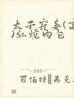 太子宠妾(高肉)红烧肉包