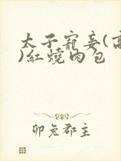 太子宠妾(高肉)红烧肉包