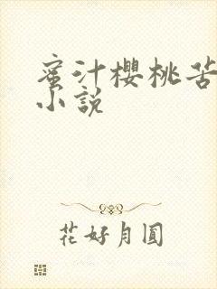 蜜汁樱桃苦咖啡小说