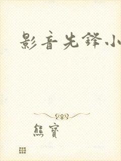 影音先锋小说