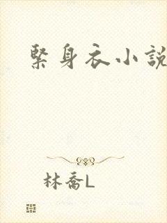 紧身衣小说