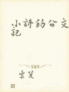 小诗的公交车日记