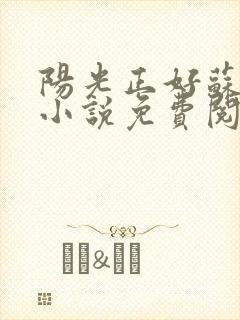 阳光正好苏玥玥小说免费阅读