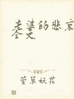 老婆的悲哀小说全文