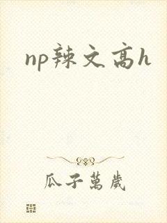 np辣文高h