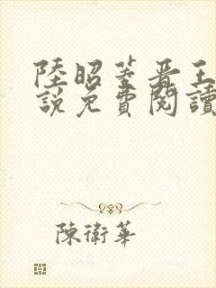 陆昭菱晋王的小说免费阅读
