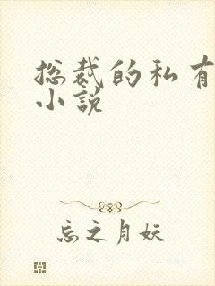 总裁的私有宝贝小说