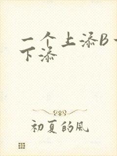 一个上添B一个下添