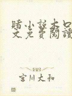 赌小说木口银全文免费阅读笔趣阁