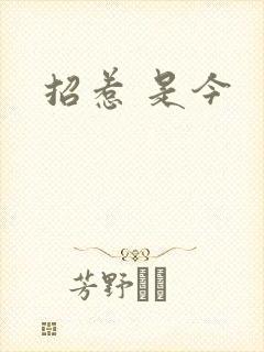 招惹 是今