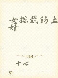 女总裁的上门女婿封面