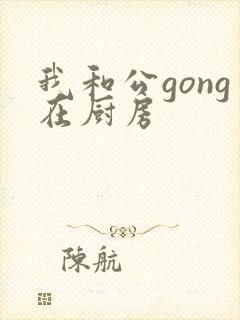 我和公gong在厨房封面