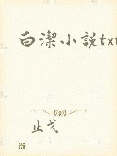 白洁小说txt