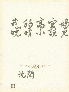 我的高官妈妈苏晚晴小说免费阅读