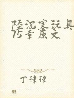 陆沉塞玩具高速75章原文