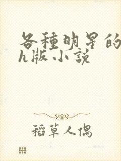 各种明星的综艺h版小说