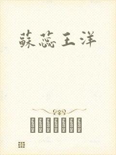 苏蕊王洋封面