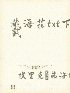 藏海花txt下载