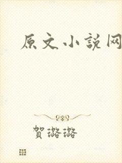 原文小说网