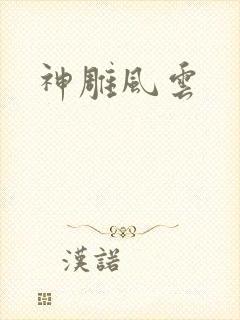 神雕风云