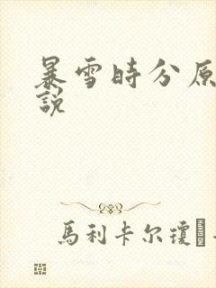 暴雪时分原著小说