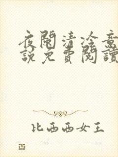 夜阑清冷意欢小说免费阅读