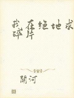 我在绝地求生捡碎片