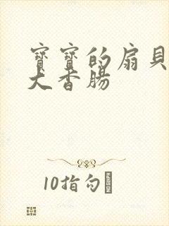 宝宝的扇贝想吃大香肠