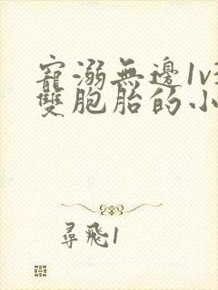 宠溺无边1v3双胞胎的小说封面