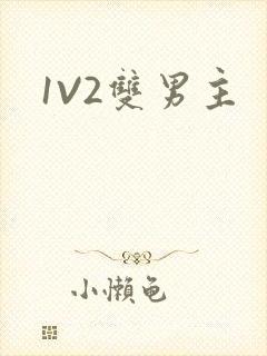 1V2双男主