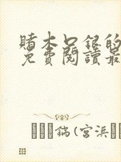 赌木口银的小说免费阅读最新