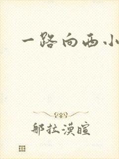 一路向西小说