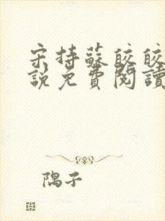 宋持苏皎皎的小说免费阅读