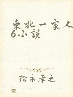 东北一家人1一6小说