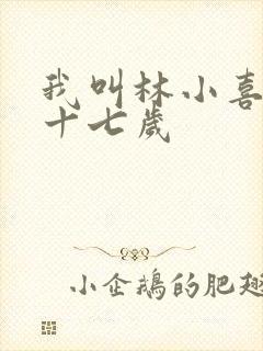 我叫林小喜今年十七岁