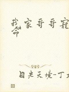 我家哥哥宠妹如命