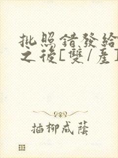 批照错发给情敌之后[双/产]