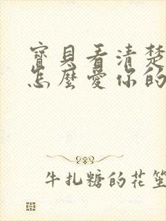 宝贝看清楚我是怎么爱你的小说