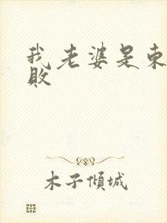 我老婆是东方不败封面