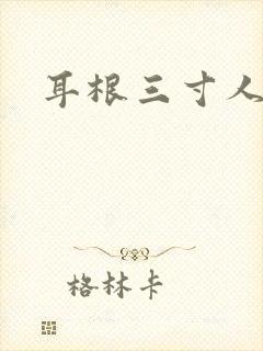 耳根三寸人间封面