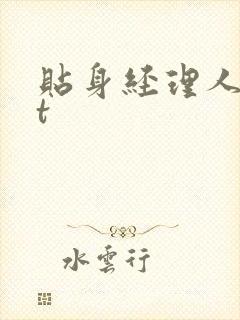 贴身经理人txt封面