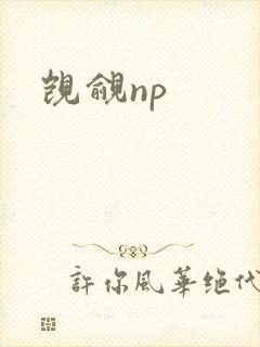 觊觎np