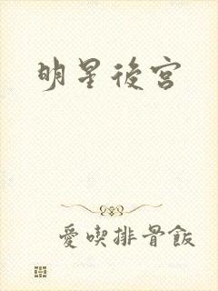 明星后宫