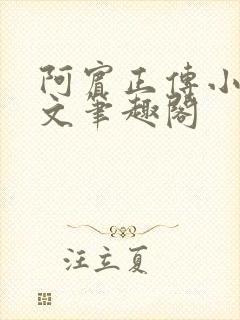 阿宾正传小说全文笔趣阁